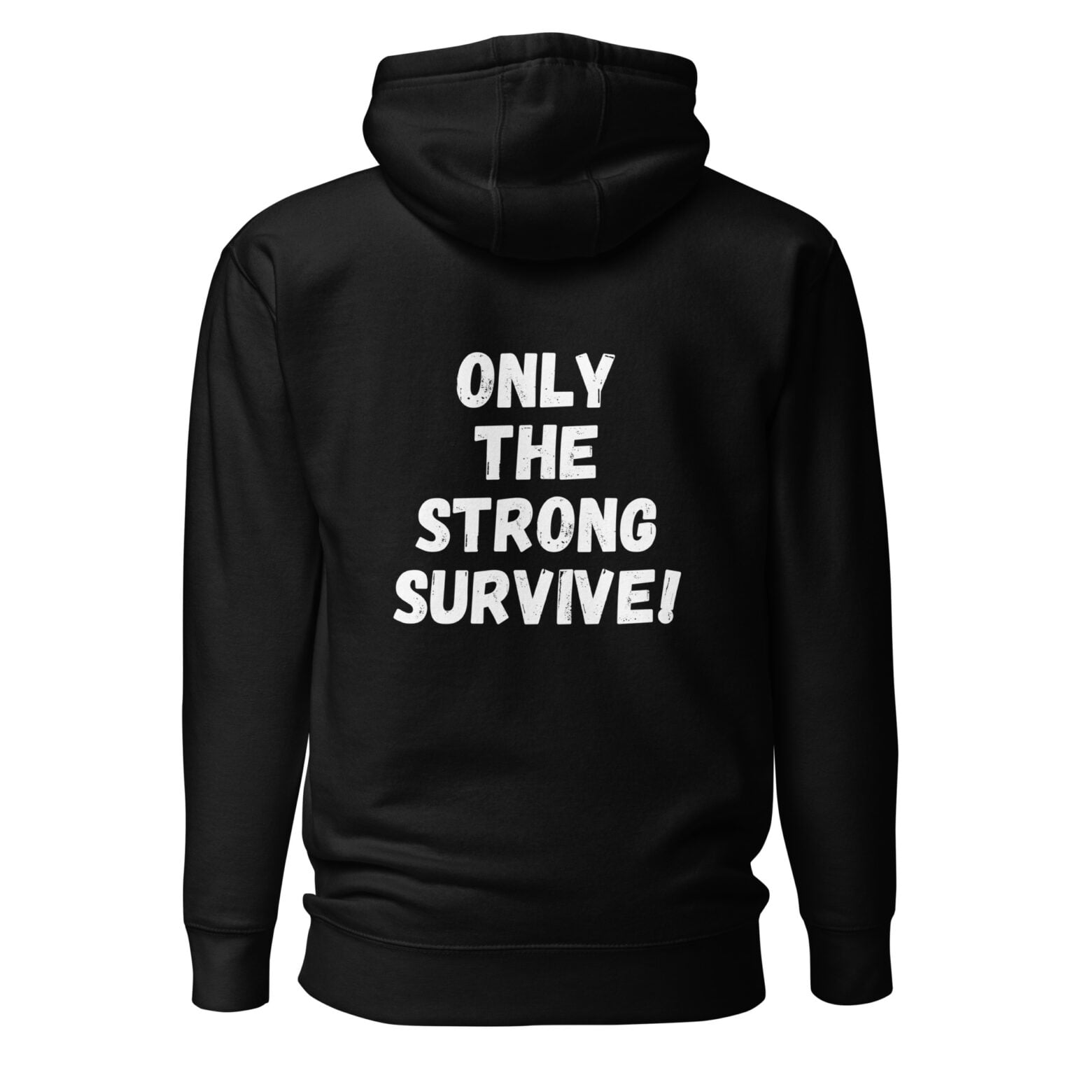 unisex-premium-hoodie-black-back-662a261eef328