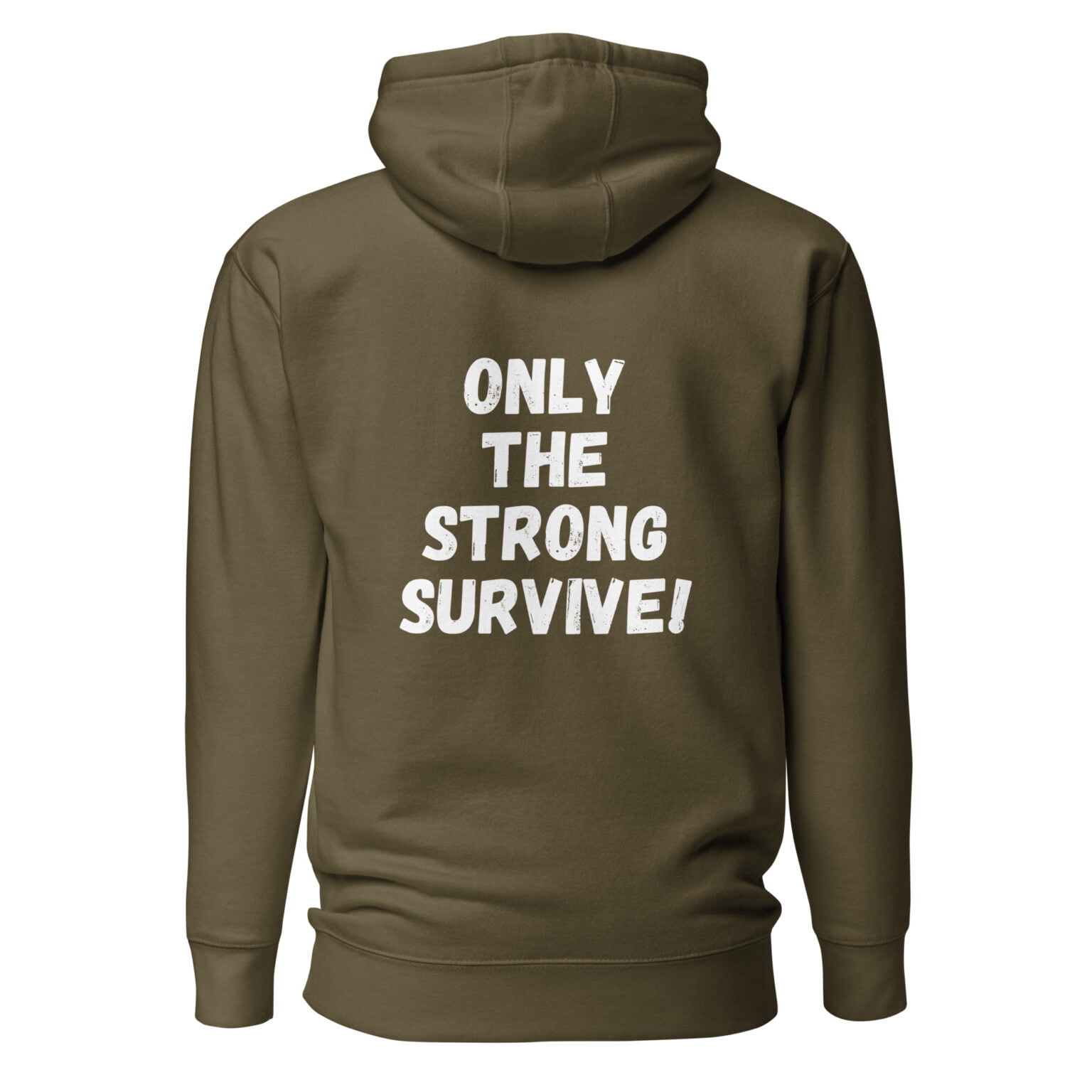 unisex-premium-hoodie-black-back-662a261eef328